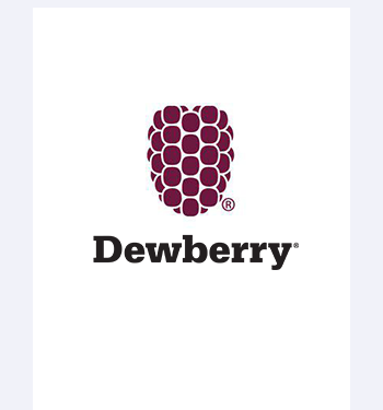Dewberry Engineers Inc.